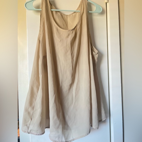 Source Unknown Tops - Elegant Beige Sheer Top ( read description )